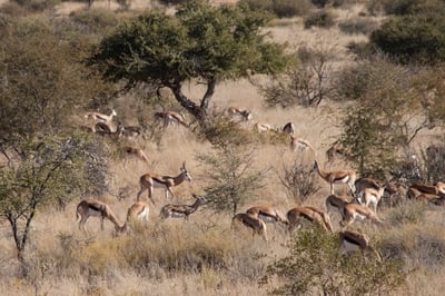 Namibia